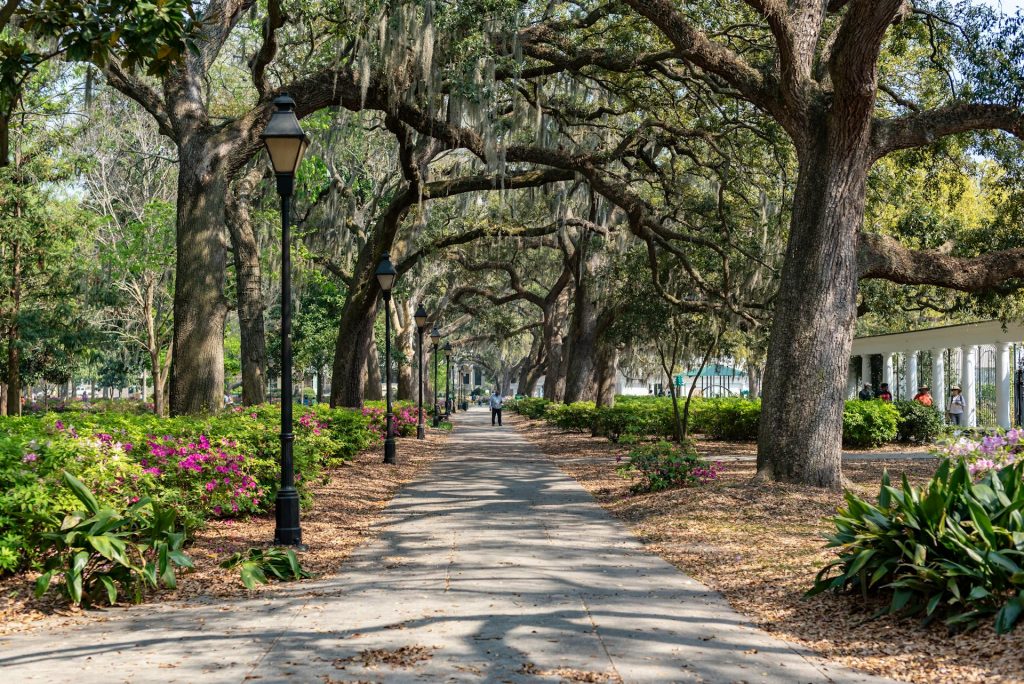 Forsyth Park oak-lined walkway in Savannah, Georgia - wholesale cream chargers Georgia
