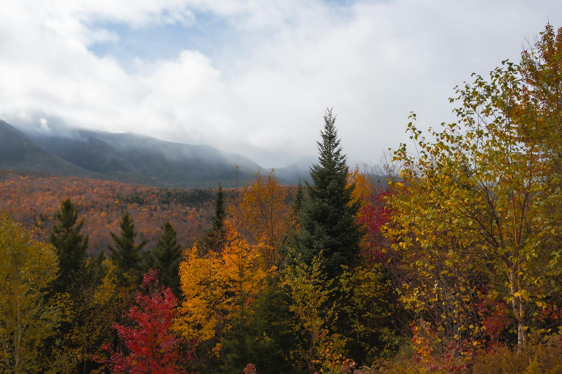 Wholesale Cream Chargers New Hampshire – N2O Supply for New Hampshire Businesses 1 Vibrant fall foliage in White Mountain National Forest — New Hampshire wholesale cream chargers