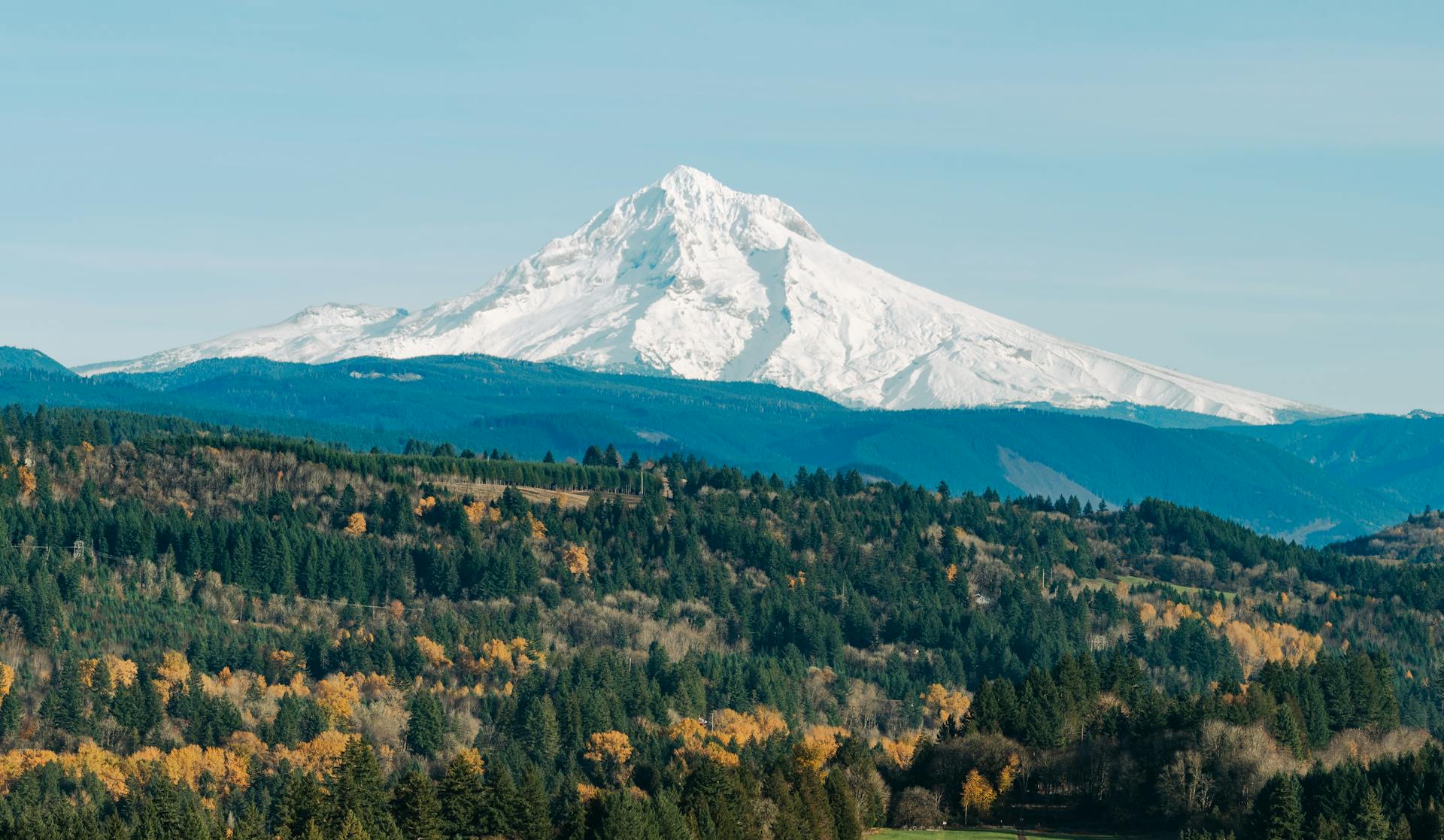 Mount Hood rising above autumn forest — Oregon wholesale cream chargers